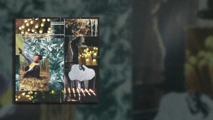 Ağaçkakan - Vira! Insomnia (Lyric Video)