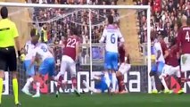 AS Roma vs Catania 4  0 All Goals 22122013