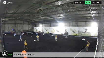 But de Grego - ADP ESI