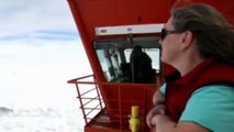 Rescatan a 52 personas atrapadas de un barco atrapado en hielo Antártico