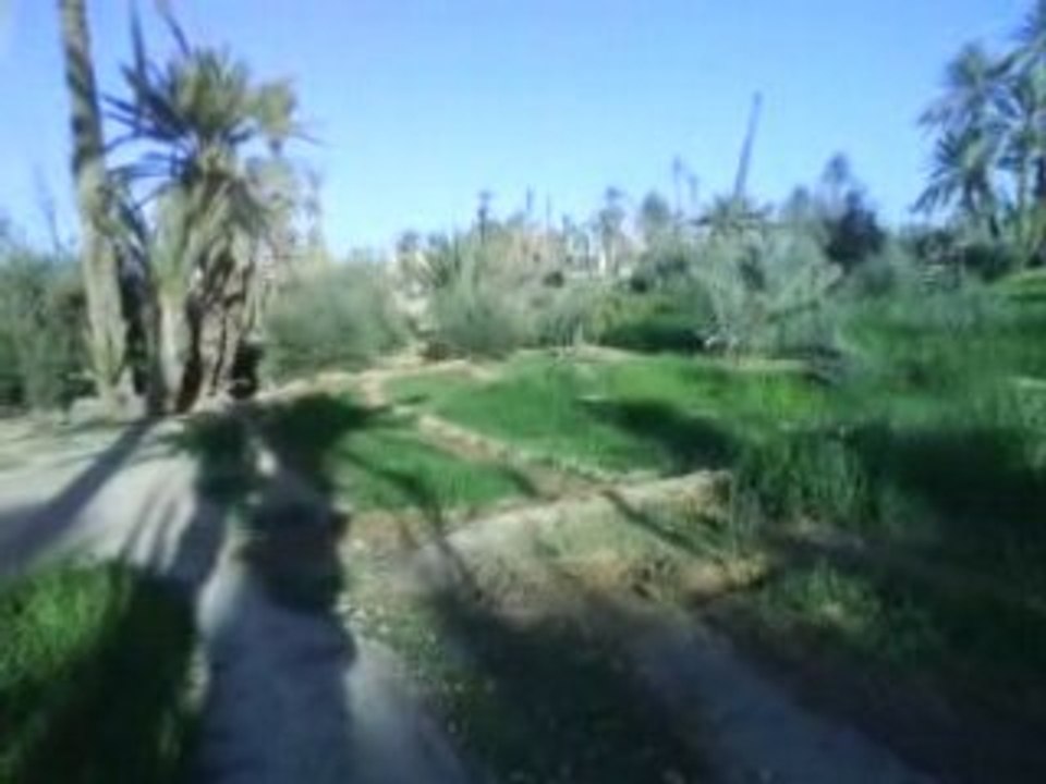ait aissa ou brahim amane
