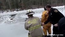Perro rescatado de las aguas heladas en Massachusetts