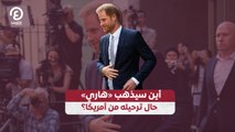 أين سيذهب «هاري» حال ترحيله من أمريكا؟
