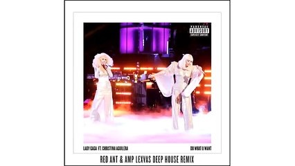 Download Video: Lady Gaga ft Christina Aguilera  Do What U Want Red Ant  Amp Lexvas Deep House Remix HD