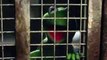 Muppets Most Wanted  Movie CLIP Welcome To The Big House 2014 HD   Tina Fey Muppet Movie