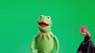 Muppets Most Wanted  Official Movie TV SPOT Happy St Patricks Day 2014 HD  Kermit the Frog Muppet Movie
