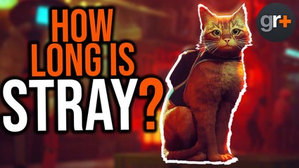 Discover the Hidden Gems of Stray 🐾: 4 Surprising Facts You Need to Know