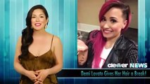 Demi Lovato Posts Picture of New Hair Style