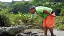 Aterrador momento que hombre se alimenta a cocodrilo en la boca