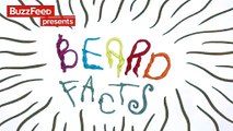 Video People   7 Beard Facts Thatll Make You Want One