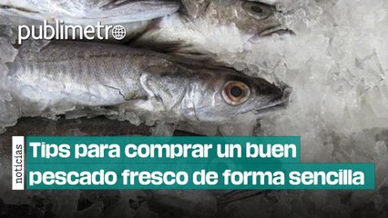 Tips para comprar un buen pescado fresco de forma sencilla