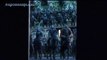 Dawn Of The Planet Of The Apes  Official Movie International TV SPOT Animals 2014 HD  Keri Russell Movie