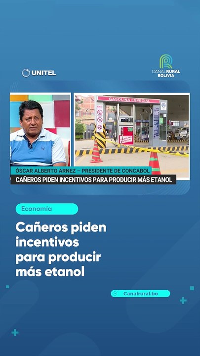 Cañeros piden incentivos para producir más etanol