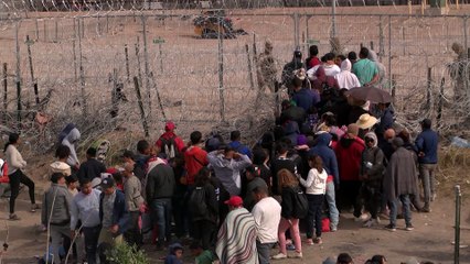 JZ REACCIONES LEY SB4 PKG 20MARZO2024