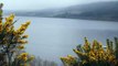 Sorprende Video de Monstruo de Lago Ness