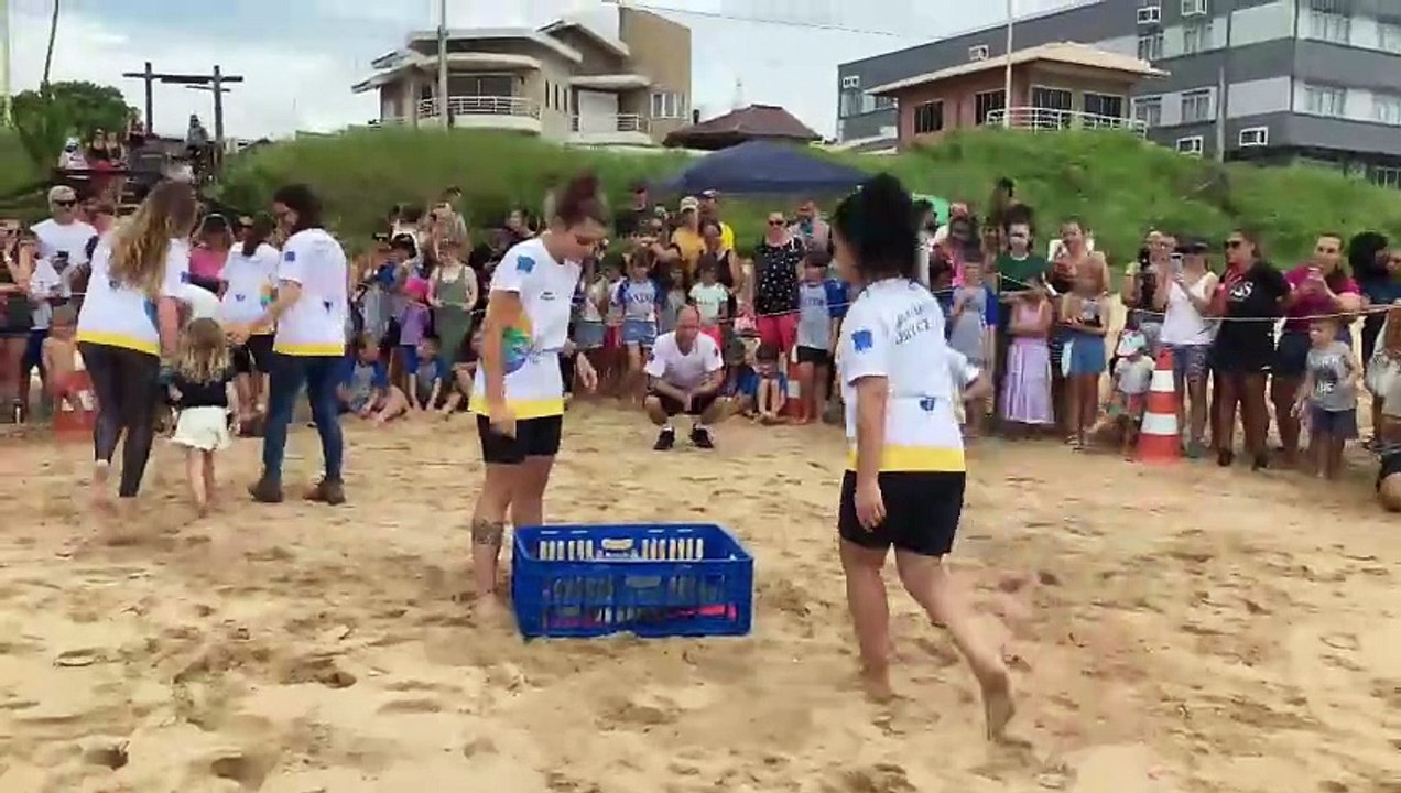Tartaruga verde retorna ao mar na Praia Grande em Penha