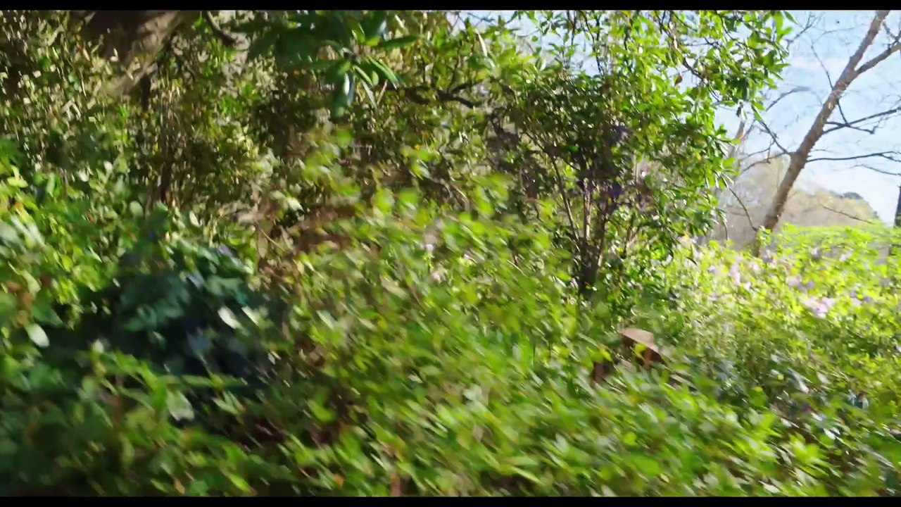 HAROLD AND THE PURPLE CRAYON Trailer