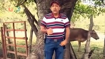 Por qué aún no han detenido a Servando Gómez alías La Tuta