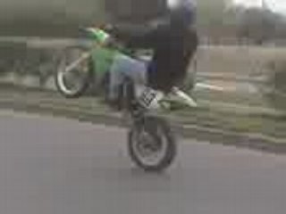 kamel en levette