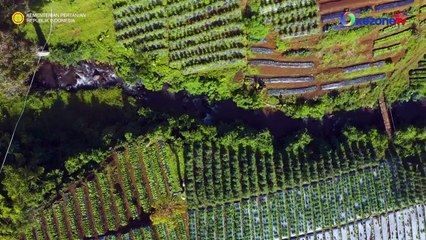 CHIEF TALK: Targetkan Indonesia Jadi Lumbung Pangan Dunia