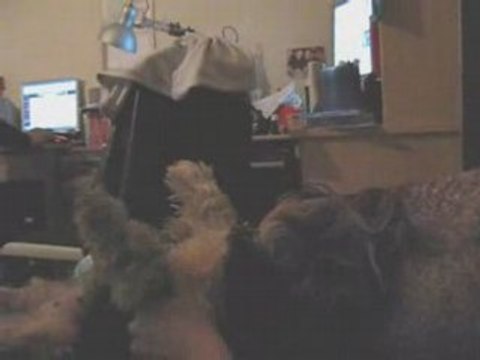 Chloé soirée disco