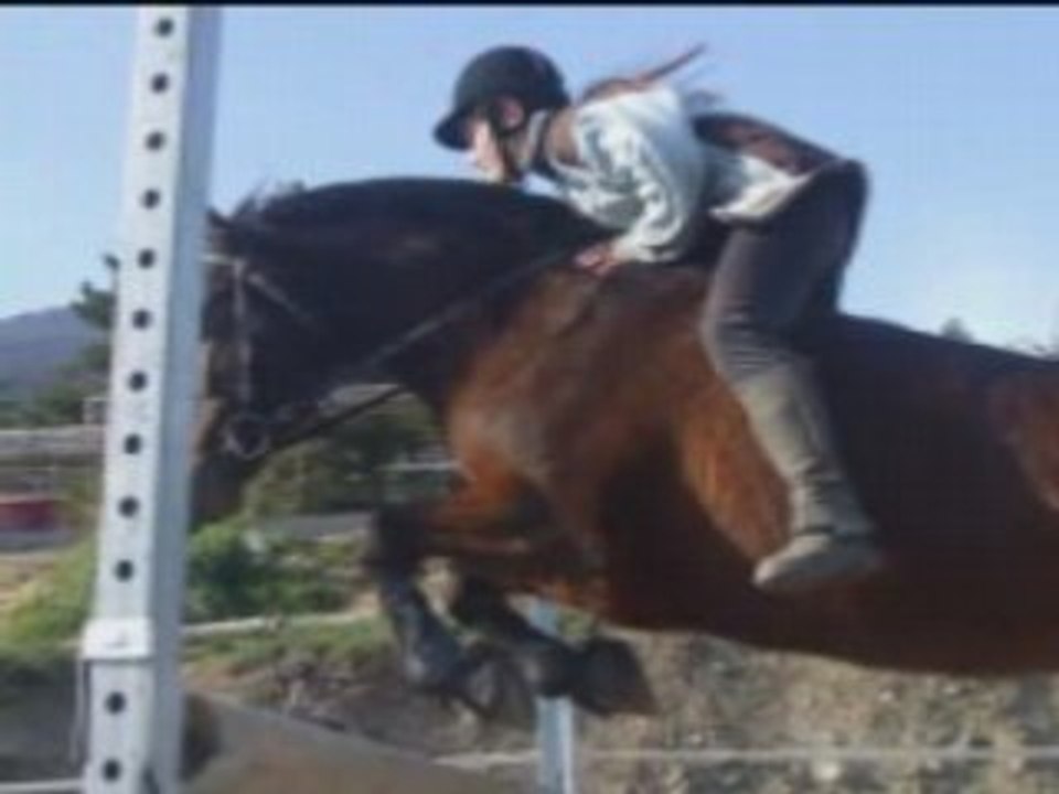 Cours du 5 avril 2008