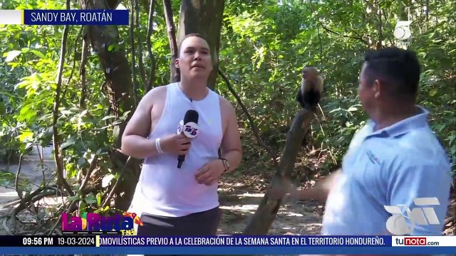 Roatán ofrece actividades fascinantes y deleite con fascinantes paisajes