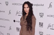 Megan Fox wanted 'the biggest boobs' that would 'fit in [her] body' as a 'reward' for having surgery