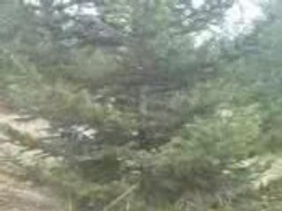 MOV00399