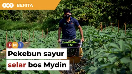 Ini realiti bukan alasan, pekebun sayur selar bos Mydin