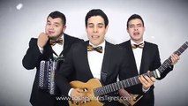 Los Tres Tristes Tigres -  Las Posadas (Video Oficial)