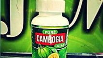 pure cambogia ultra