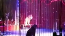 Cuando los animales atacan: Artista de circo atacada por león durante la presentación en vivo