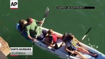 Leon marino sorprende a familia al treparse a su kayak