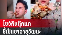 โชว์กินตุ๊กแก ชี้เป็นยาอายุวัฒนะ | เที่ยงทันข่าว | 21 มี.ค. 67