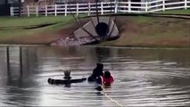 Bomberos rescatan a perro de un estanque