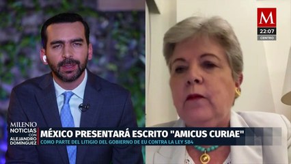 Alicia Bárcena presentará escrito 'Amicus Curiae' ante Ley SB4 de EU