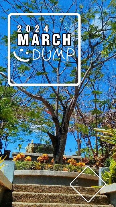 marchdump