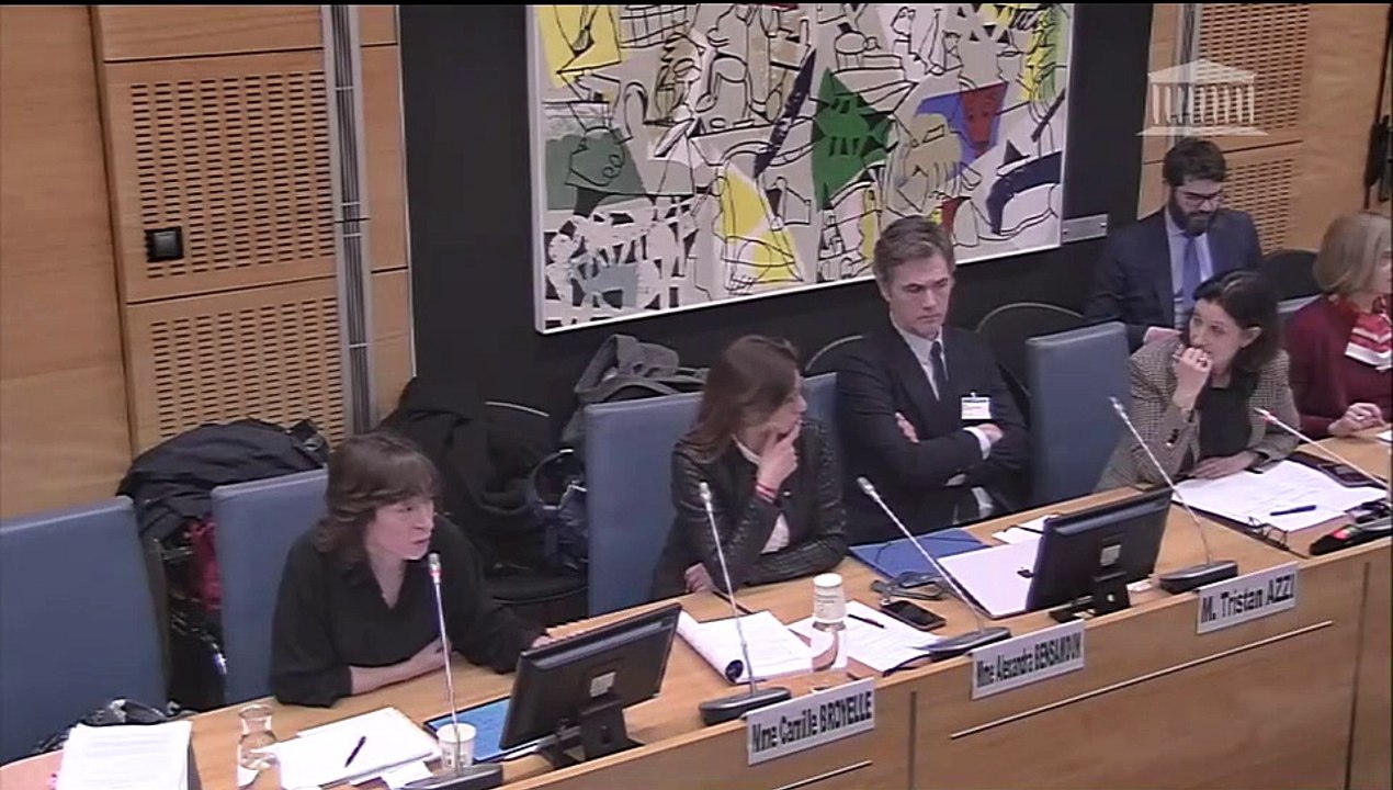 Commission des affaires culturelles : États généraux de l’information : adaptation du droit des médias aux évolutions du secteur - Mercredi 20 mars 2024