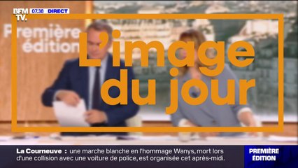 Ils vivent dans un ancien parc aquatique en Gironde