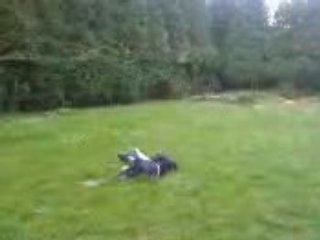 anthony Garciia [caudry]