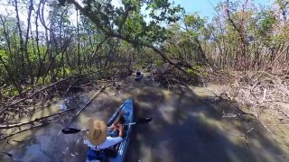 Welcome to Mike's Coastal Expeditions! Naples' Best Kayak Rentals