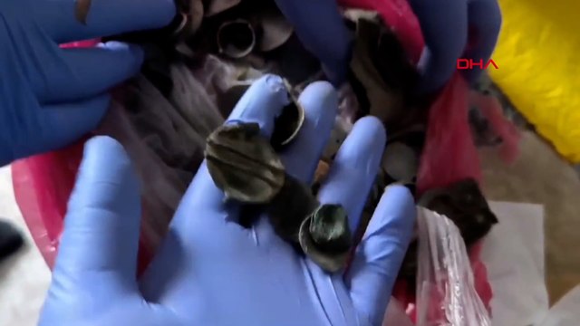 Tekirdağ’da 266 sikke ve obje ele geçirildi