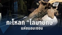 เปรูเผยโฉมกะโหลก “โลมายักษ์” แห่งแอมะซอน | ข่าวต่างประเทศ | PPTV Online