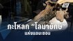 เปรูเผยโฉมกะโหลก “โลมายักษ์” แห่งแอมะซอน | ข่าวต่างประเทศ | PPTV Online