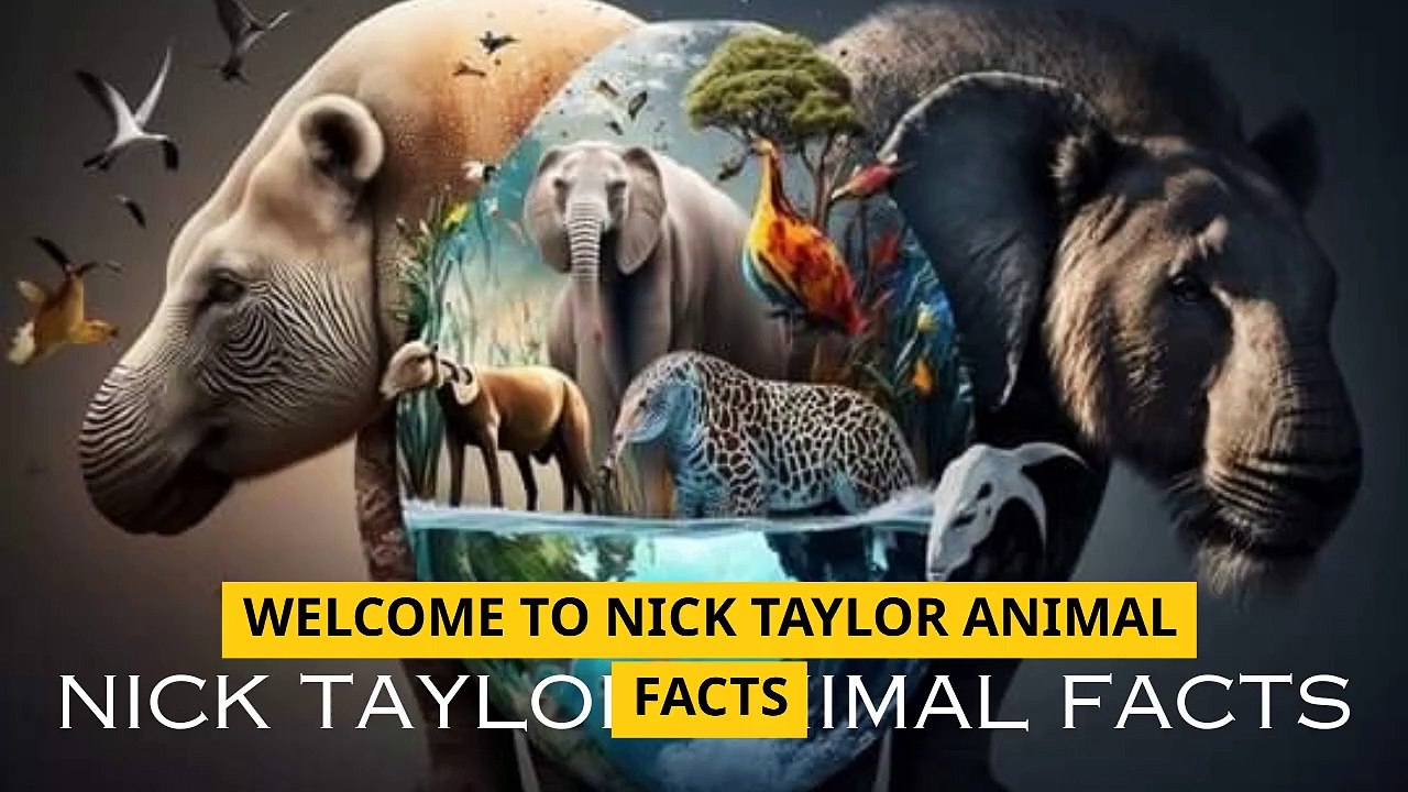 Top 10 Animals with Strongest Bite-Force!