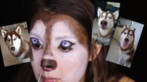 Modelo se convierte en un husky siberiano con maquillaje