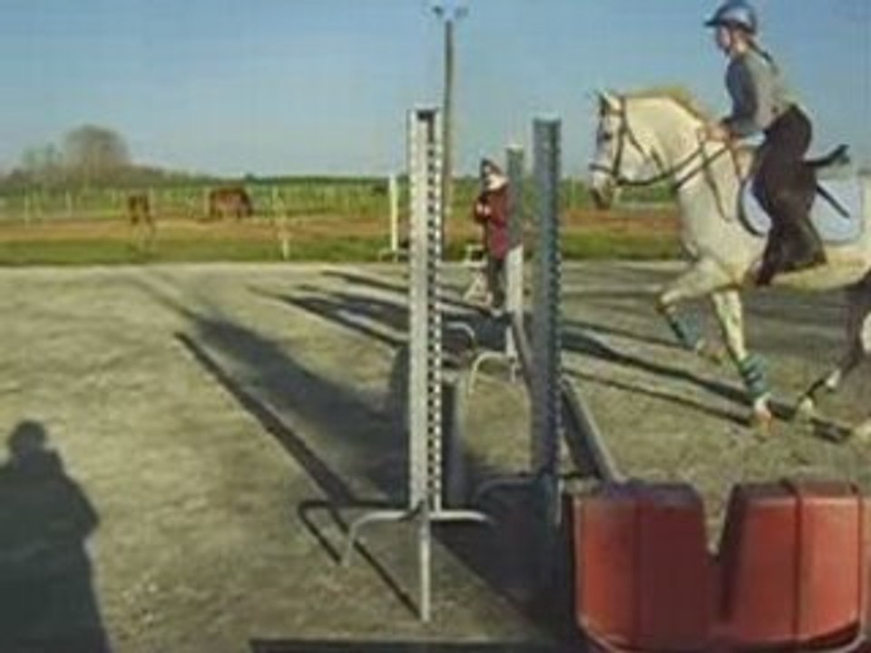 Leanitias obstacle