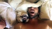 Perro gruñón hace ruidos graciosos mientras duerme