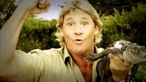 Avistamiento del fantasama de Steve Irwin, el famoso cazador de Cocodrilos